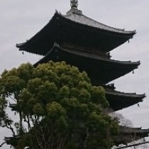 スカイツリーと東寺五重塔