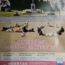 関西盲導犬協会