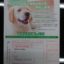 関西盲導犬協会のYouTube